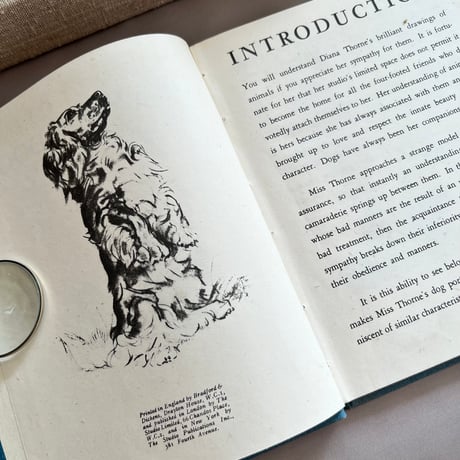 ●vp-62/1942年版 犬の描き方の本「DRAWING DOGS」