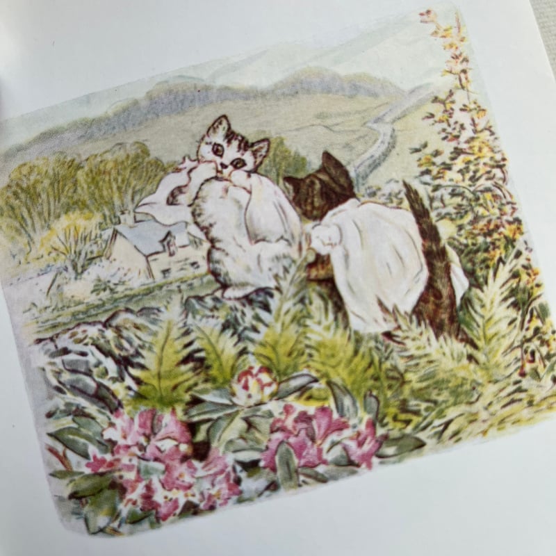 ○vp-55/ビアトリクス・ポターの絵本「こねこのトムのおはなし