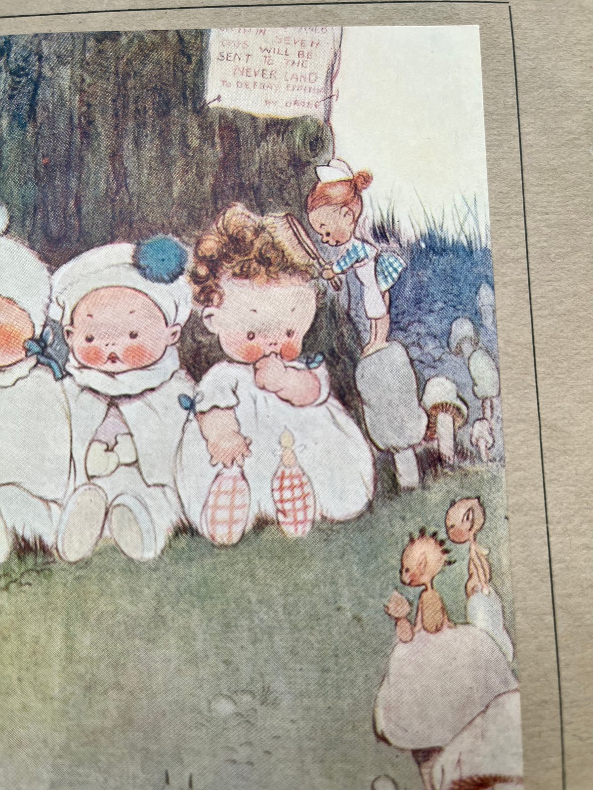 ○s-63/Mabel Lucie Attwell 1920年代「PETER PAN」の挿絵