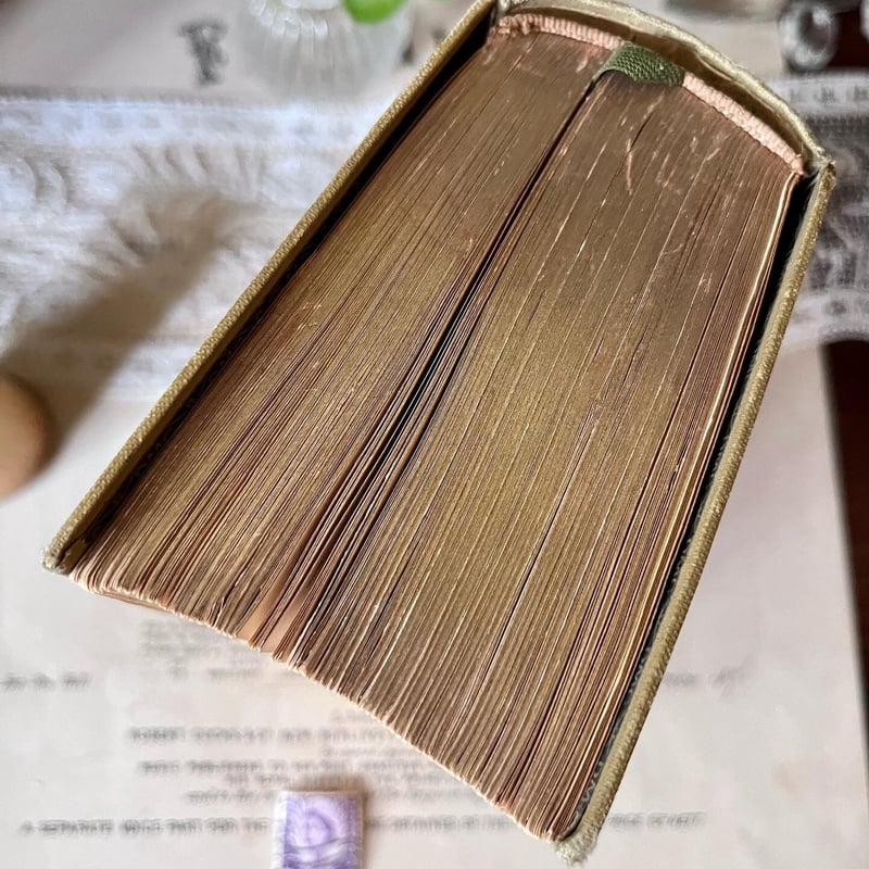 ○vp-25/1900年頃 DMC社ニードルワーク百科事典 | PISKEY -イギリス