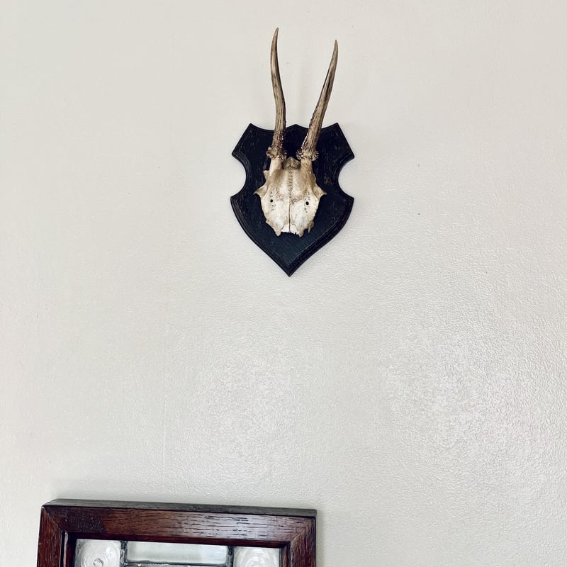 ○s-76/子鹿のハンティングトロフィー | PISKEY -イギリスのふるい