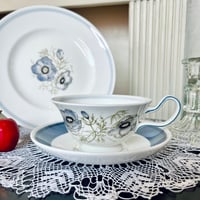 ●po-197/Wedgwood×スージークーパー グレンミスト  トリオ