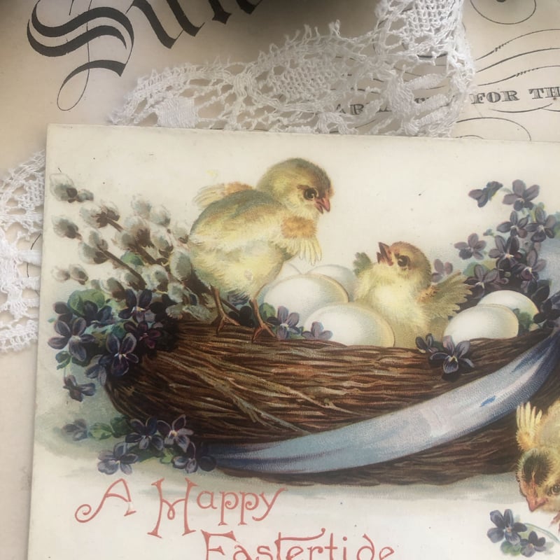 ○pg-6/1910年消印 ひよことすみれ、たまごのポストカード/イースター