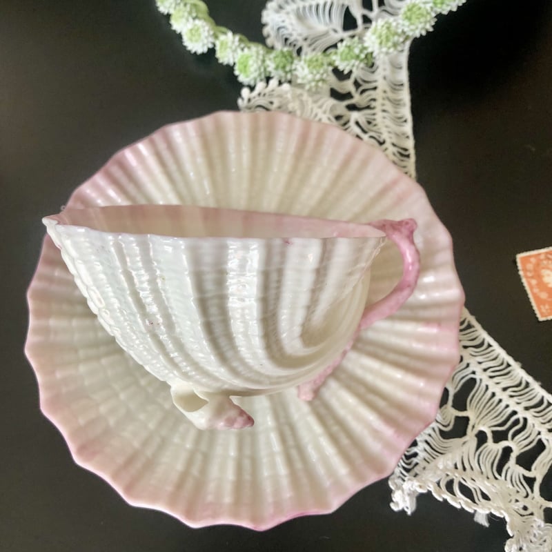 Belleek ベリーク ネプチューン カップ ソーサー アイルランド fit=scale-down,w=1200
