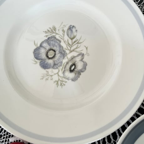 ●po-197/Wedgwood×スージークーパー グレンミスト  トリオ