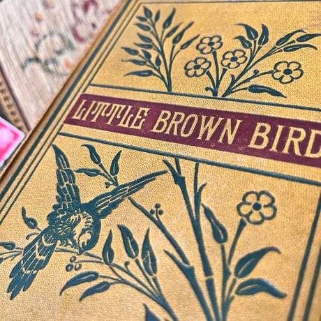 ●vp-37/1887年サイン入り 「LITTLE BROWN BIRD」