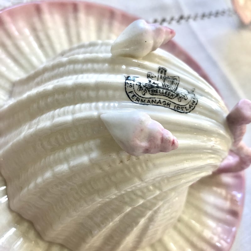 ○po-22/Belleek ベリーク カップ&ソーサー「ネプチューン ○po-22/Belleek ベリーク カップ&ソーサー「ネプチューン