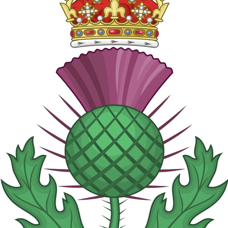 ○ab-446/ MIZPAH製 シスル(あざみ）のブローチ | PISKEY -イギリスのふ