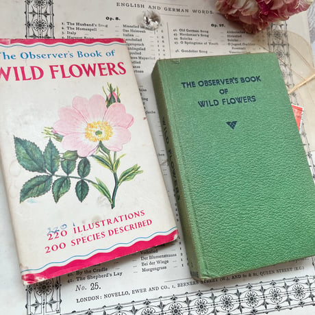●vp-57/1965年版 小さな植物図鑑「WILD FLOWERS」