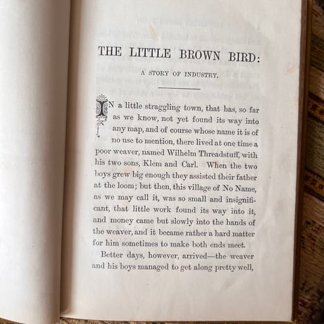 ●vp-37/1887年サイン入り 「LITTLE BROWN BIRD」