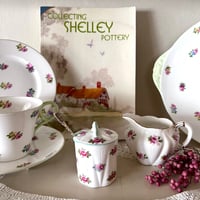 ●sh-34/Shelley シェリー ちいさな薔薇のキャニスター