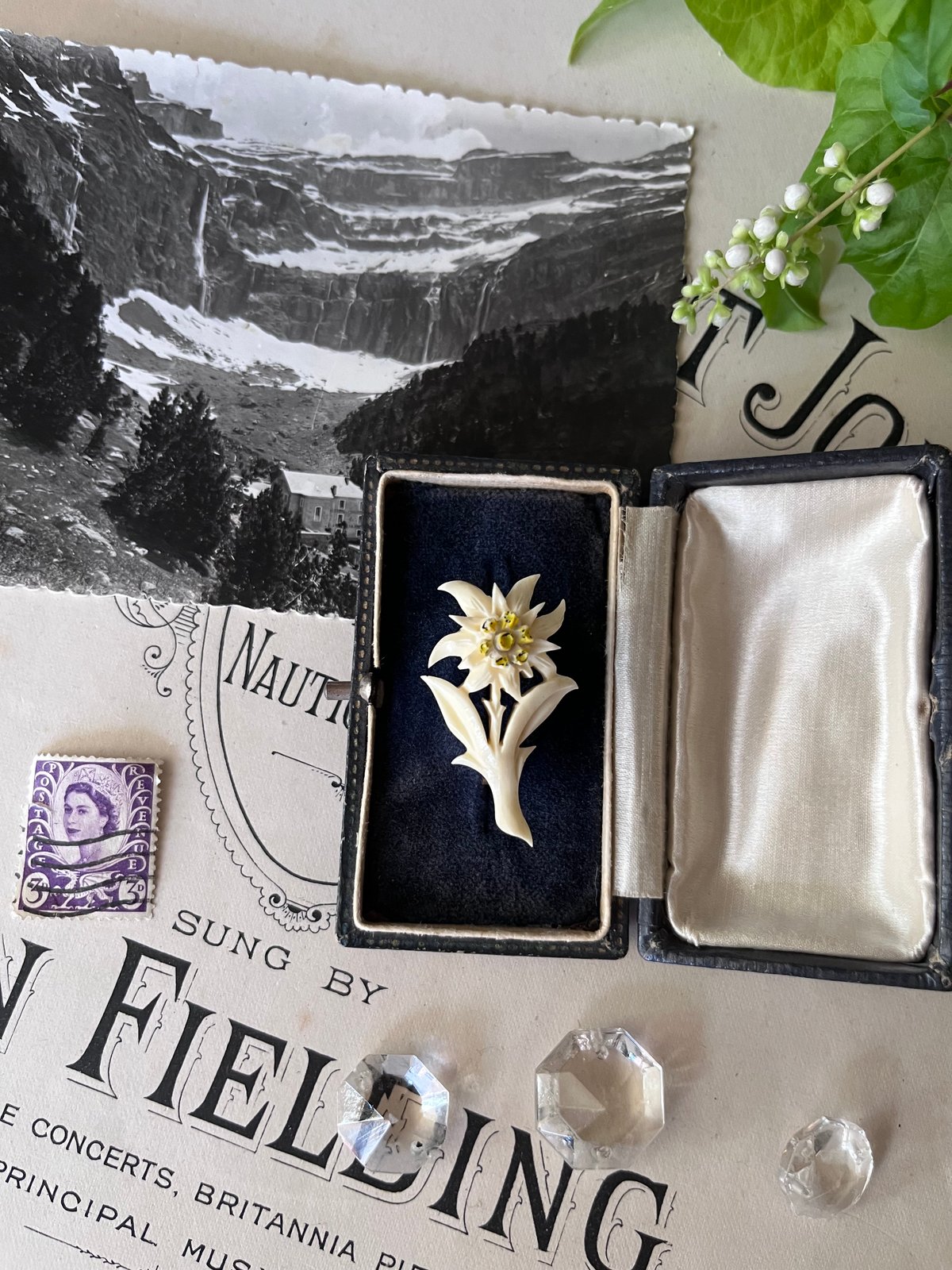 希少　アンティーク　ボーンアート　手彫りブローチk ○ab-396/手彫りのエーデルワイスのブローチ | PISKEY -イギリス