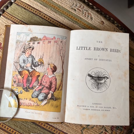 ●vp-37/1887年サイン入り 「LITTLE BROWN BIRD」