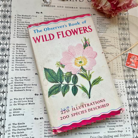 植物図鑑 本 おすすめ 洋書 イギリス 植物図鑑 古い図鑑 本 植物