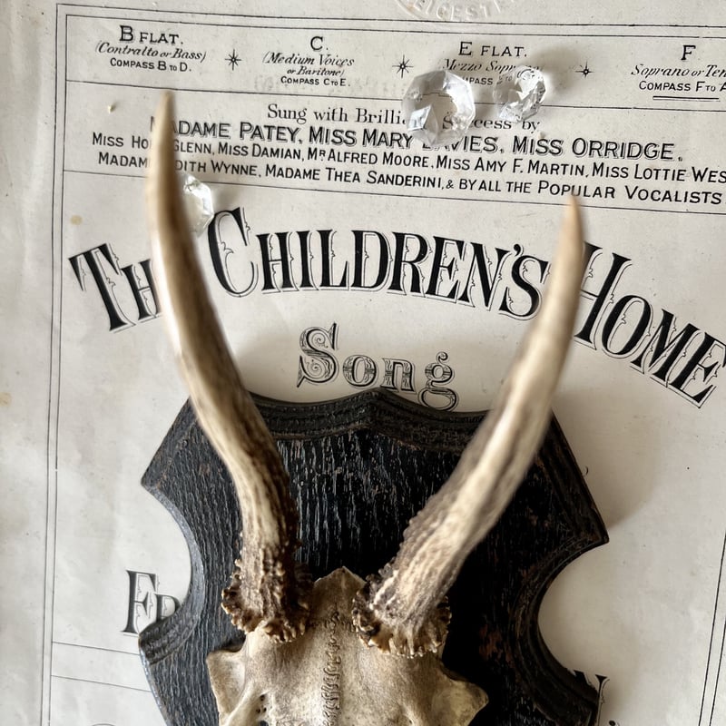 Kさん専用　ハンティングトロフィー ○s-76/子鹿のハンティングトロフィー | PISKEY -イギリスのふるい