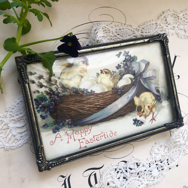 ○pg-6/1910年消印 ひよことすみれ、たまごのポストカード/イースター