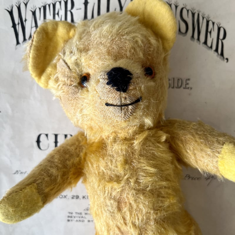 アンティーク テディベア はちみつ色