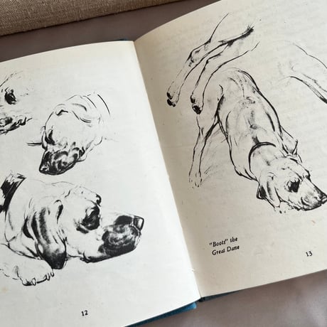 ●vp-62/1942年版 犬の描き方の本「DRAWING DOGS」