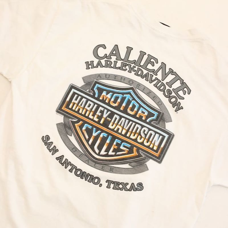 ハーレー ダビッドソン Tシャツ Harley Davidson # | Blue ハーレー ダビッドソン Tシャツ Harley Davidson # | Blue