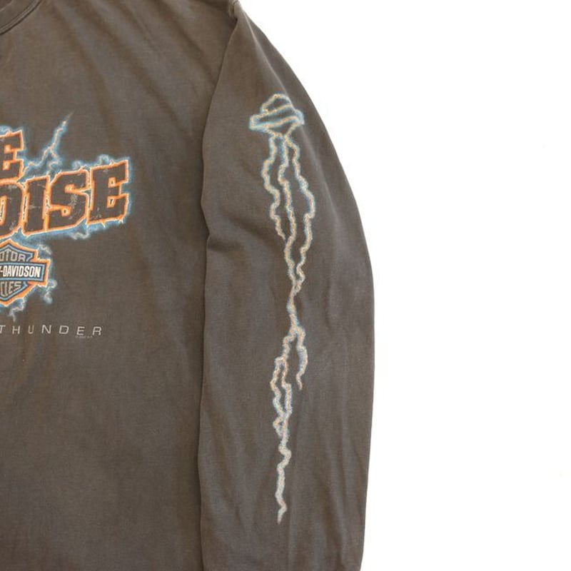 Harley-DavidsonロンT Harley Davidson Longsleeve - FTA® Vintage