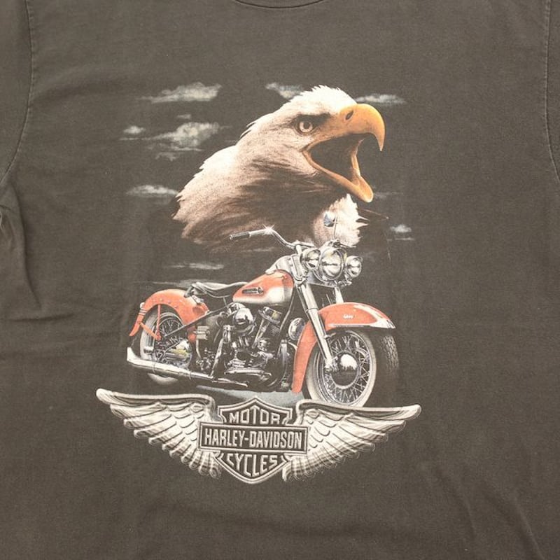 ハーレーダビッドソン Tシャツ Harley Davidson T-shirt＃ | Blue