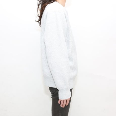 チャンピオン リバースウィーブ スウェットシャツ Champion Reverseweave Sweat Shirt #