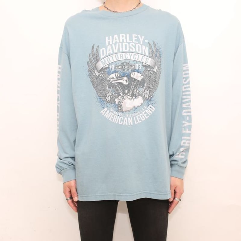 Harley Davidson L/S Tee ハーレーダヴィッドソン ロンT