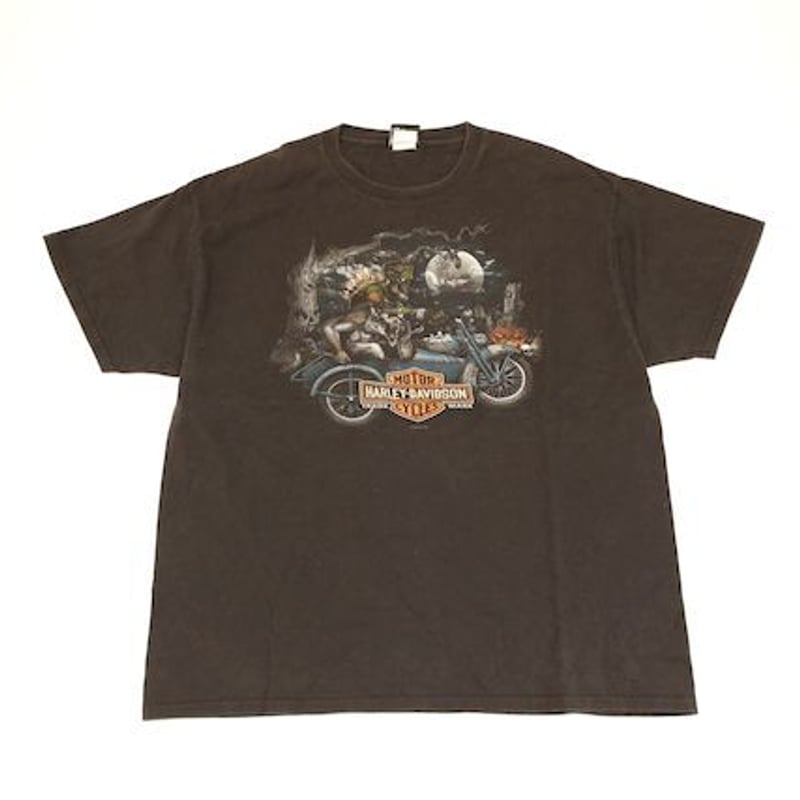 ハーレーダビッドソン Tシャツ Harley Davidson T-shirt | Blue