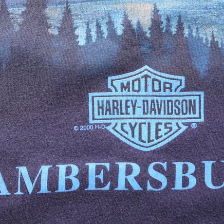 ハーレー ダビッドソン Tシャツ Harley Davidson  T-shirt#