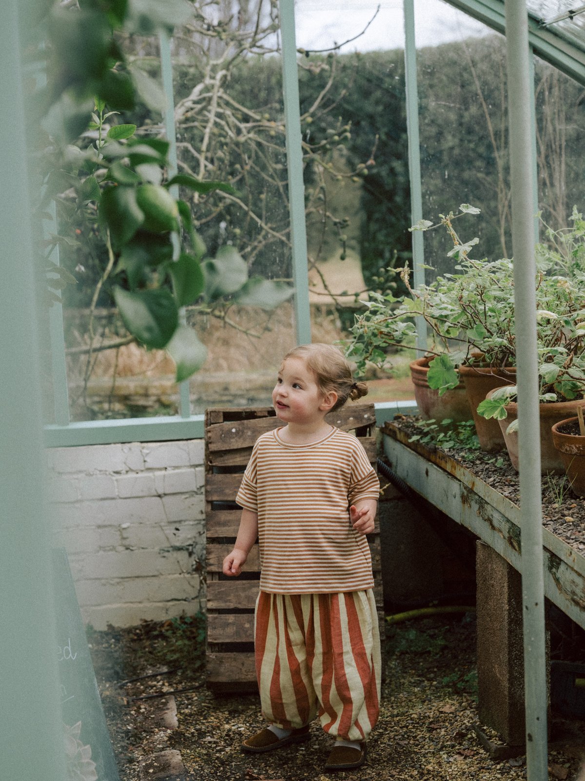 パンツ Tomato Stripes Resort Pants/organiczoo(ｵｰｶﾞ