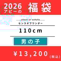 26福袋予約券】センスオブワンダー 福袋 90cm 男の子 | api store