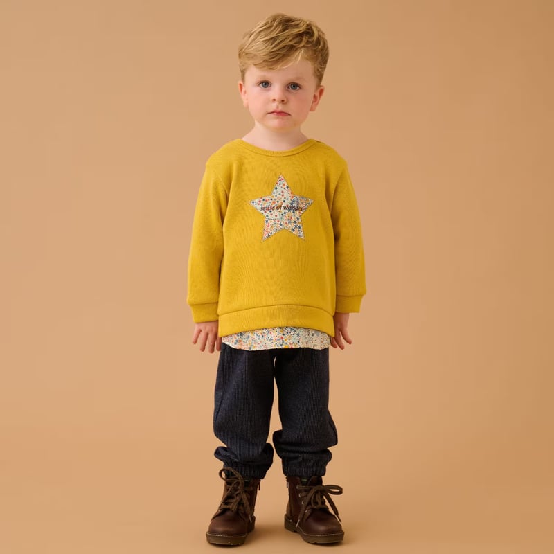 26福袋予約券】センスオブワンダー 福袋 100cm 男の子 | api store ベビ