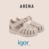【2026入荷分】TOBBY SOLID トビーソリッド 100 ARENA (SIZE20-29)/ (igorイゴール)
