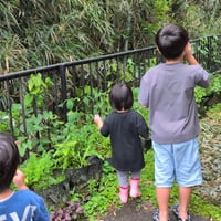 家庭的保育室かとさんち8月11日10時