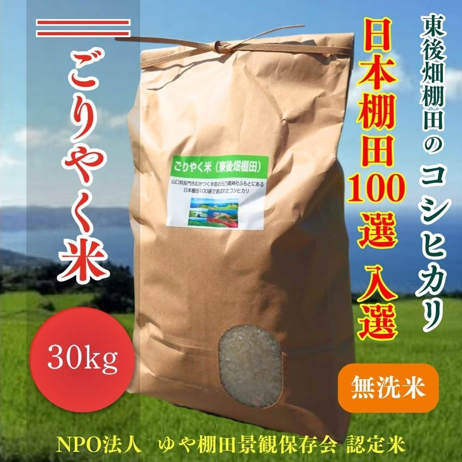 66d27f5200e8ad31f7fd44a0