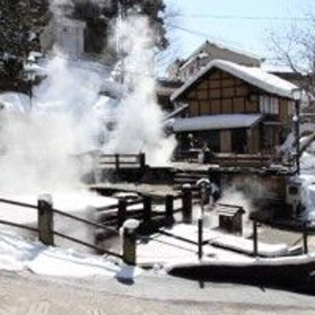 北信州野沢の湯 　温泉の素（10回分おまとめパック）硫黄の香り【送料無料】