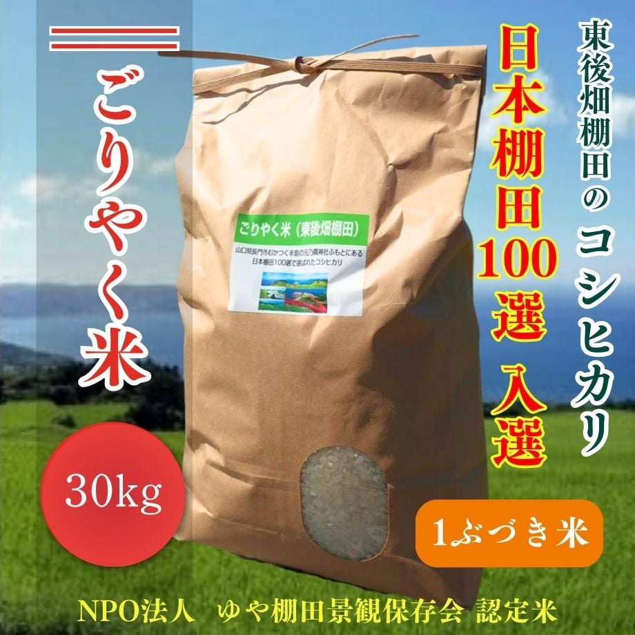 66d1ee1000e8ad18d9fd44f7