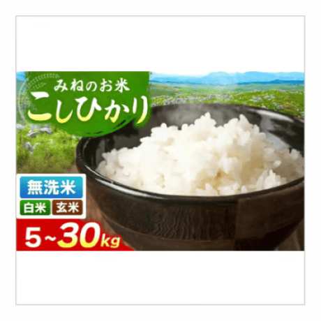 無洗米 | STORES