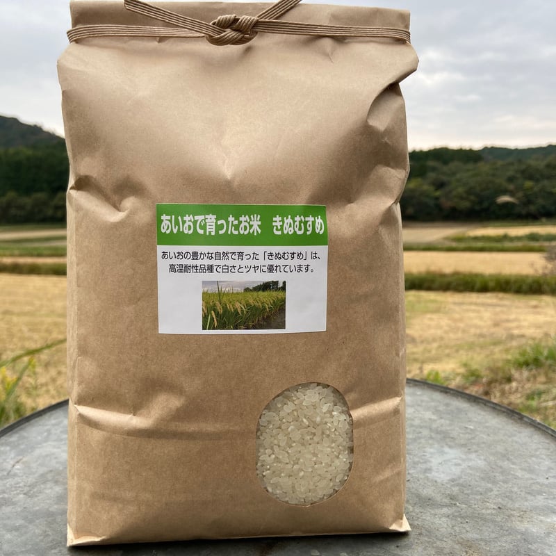 販売開始【2024年（令和6年）】 あいお(秋穂)で育ったお米 きぬ