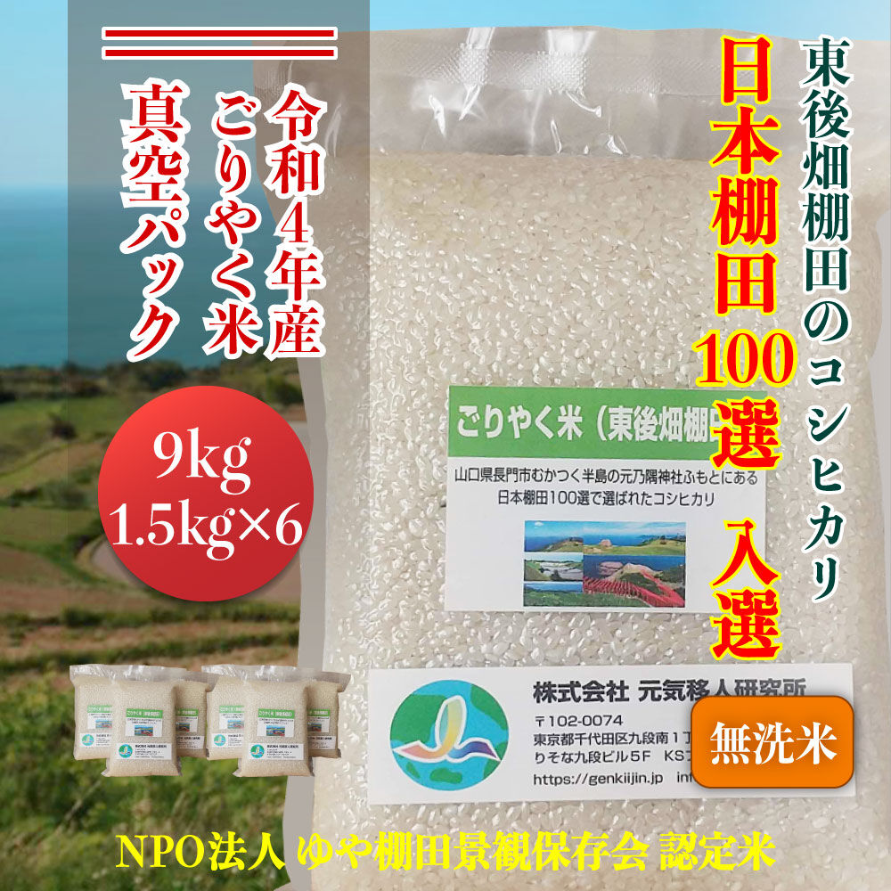 令和5年 山口県産コシヒカリ 20キロ 無洗米 - 米・雑穀・粉類