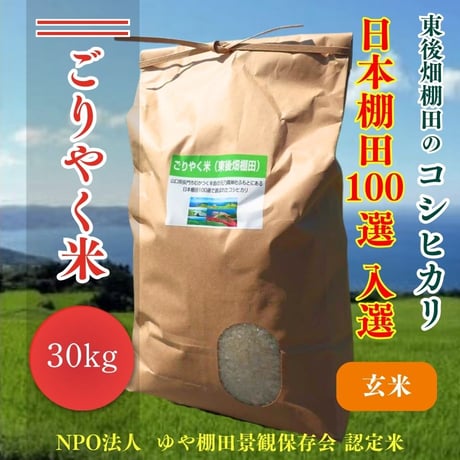 販売開始【2025年（令和7年）新米】　ごりやく米（東後畑棚田こしひかり）　（30kg）業務用