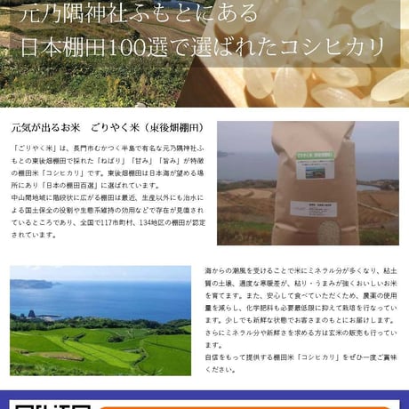 販売開始【2025年（令和7年）新米】真空パック　無洗米　ごりやく米「東後畑棚田こしひかり」 無洗米9.0㎏ (無洗米真空パック1.5㎏×6個)