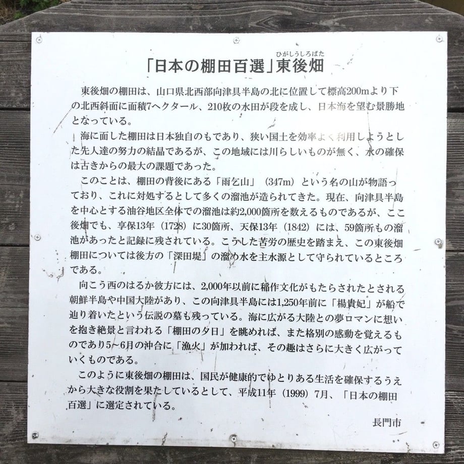 6053811ea11abc64244979c0