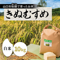 販売開始【2025年（令和7年）】　あいお(秋穂)で育ったお米　きぬむすめ　白米　10Kg  （年6回　毎月コース）ご注文後に精米し、鮮度の高いお米を配送 します。