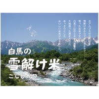【2025年（令和7年）】　白馬の雪解け米　こしひかり　5Kg 　ご注文後に精米し、鮮度の高いお米を配送します。