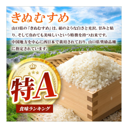 2025年（令和7年）新米】 玄米 無洗米 白米 3ぶづき米 みねのお米 きぬ