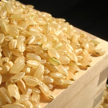 【2023年（令和5年）新米】　ごりやく米（東後畑棚田こしひかり）　白米（10kg）　ご注文後に精米し、鮮度の高いお米を配送 します。