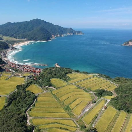 販売開始【2024年（令和6年）産】　木与のなぎさ米　きぬむすめ　30Kg 　ご注文後に精米し、鮮度の高いお米を配送 します。