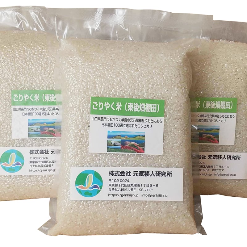 超希少】棚田米 酵素米 コシヒカリ 玄米10kg「無洗米 に精米」