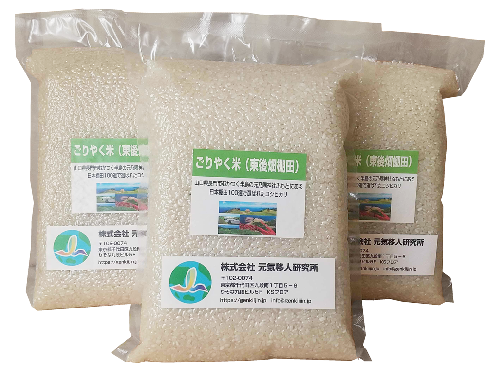 超希少】棚田米 酵素米 大粒米 玄米20Kg「標準白米に精米」